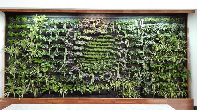 Jardines Verticales Naturales.