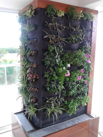 Jardines Verticales para Departamentos o Restaurantes