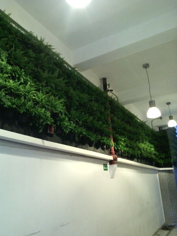 Jardín Vertical en Geotextil.