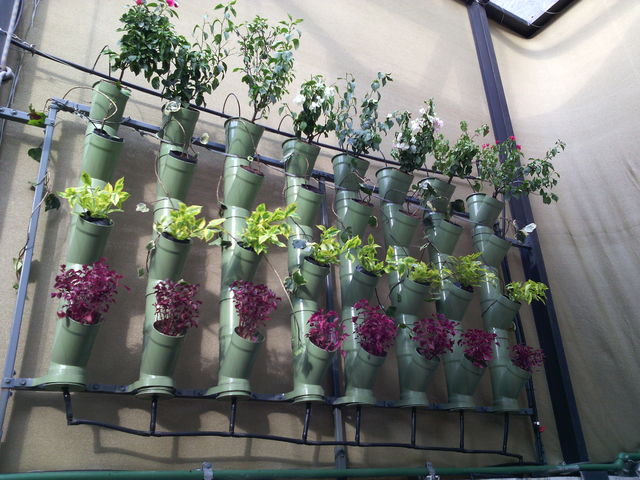 Torres de Cultivo Hidro Mayab.