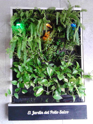 Jardines Verticales para Interiores