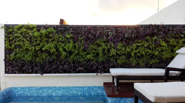 Jardines Verticales Para Terrazas.