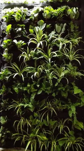Jardines Verticales Interiores.
